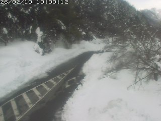 琴浦町山川木地