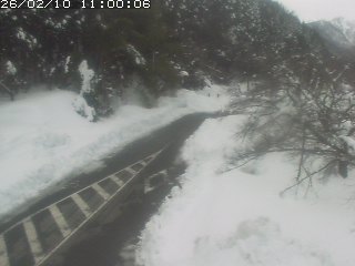 琴浦町山川木地