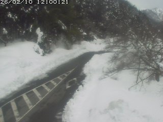 琴浦町山川木地