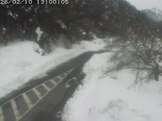 琴浦町山川木地