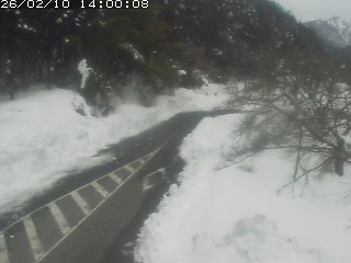 琴浦町山川木地