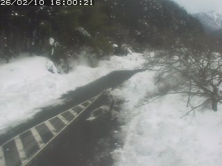 琴浦町山川木地