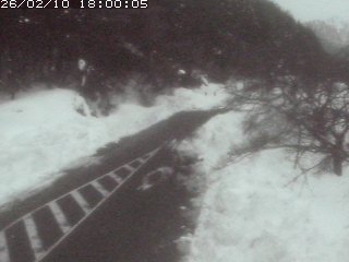 琴浦町山川木地