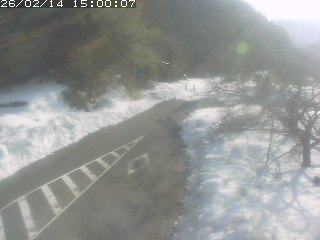 琴浦町山川木地