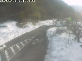 琴浦町山川木地