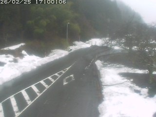 琴浦町山川木地