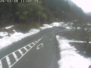 琴浦町山川木地