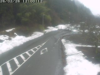 琴浦町山川木地