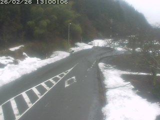 琴浦町山川木地