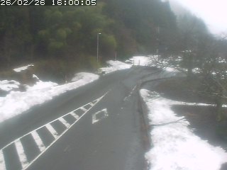 琴浦町山川木地