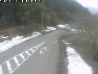 琴浦町山川木地