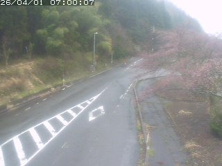 琴浦町山川木地