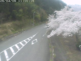 琴浦町山川木地