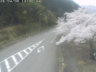 琴浦町山川木地
