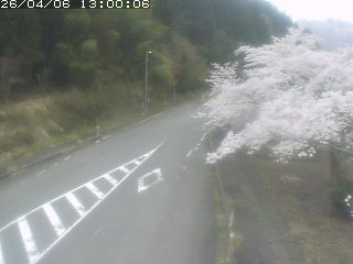 琴浦町山川木地