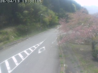 琴浦町山川木地