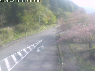 琴浦町山川木地