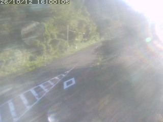 琴浦町山川木地