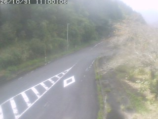 琴浦町山川木地