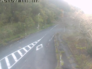 琴浦町山川木地