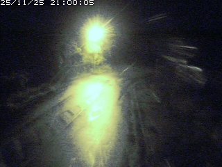 琴浦町山川木地