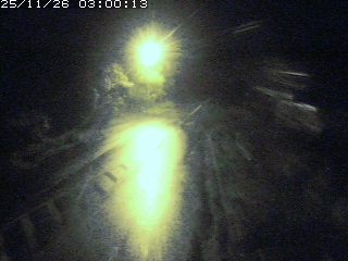 琴浦町山川木地