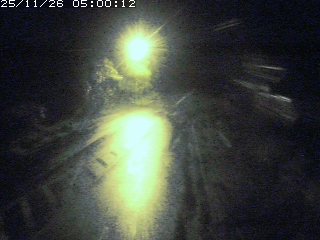 琴浦町山川木地