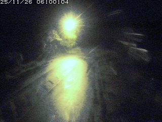 琴浦町山川木地