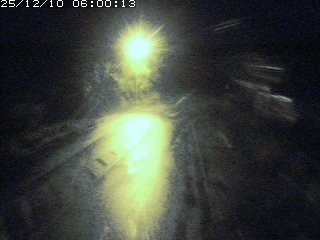 琴浦町山川木地