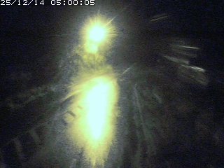 琴浦町山川木地