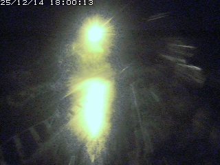 琴浦町山川木地