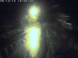 琴浦町山川木地