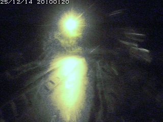 琴浦町山川木地