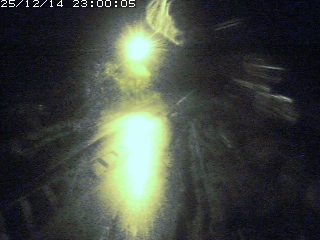 琴浦町山川木地