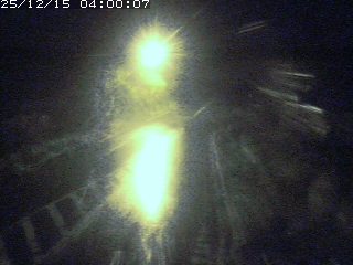 琴浦町山川木地