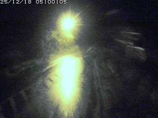 琴浦町山川木地