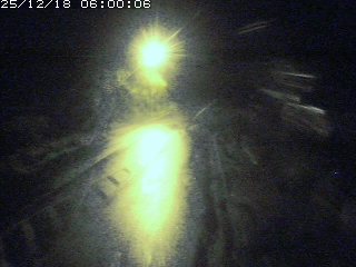 琴浦町山川木地