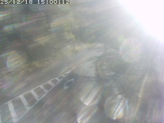 琴浦町山川木地