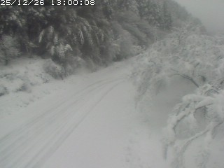 琴浦町山川木地