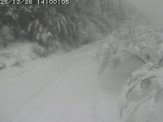 琴浦町山川木地