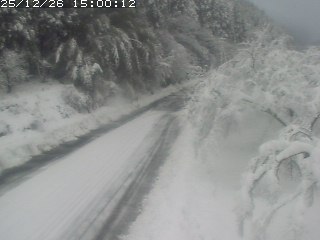 琴浦町山川木地