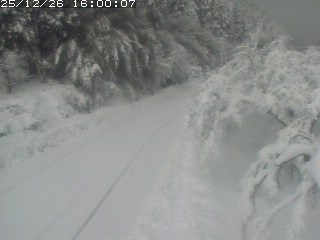 琴浦町山川木地