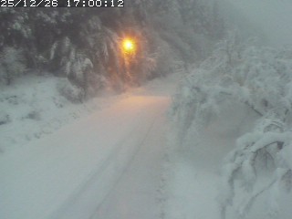 琴浦町山川木地