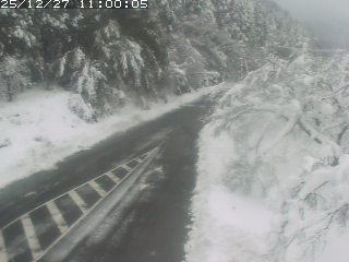 琴浦町山川木地