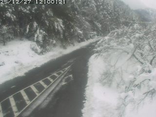 琴浦町山川木地