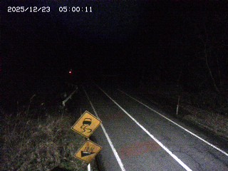 日野町船場【間地峠】