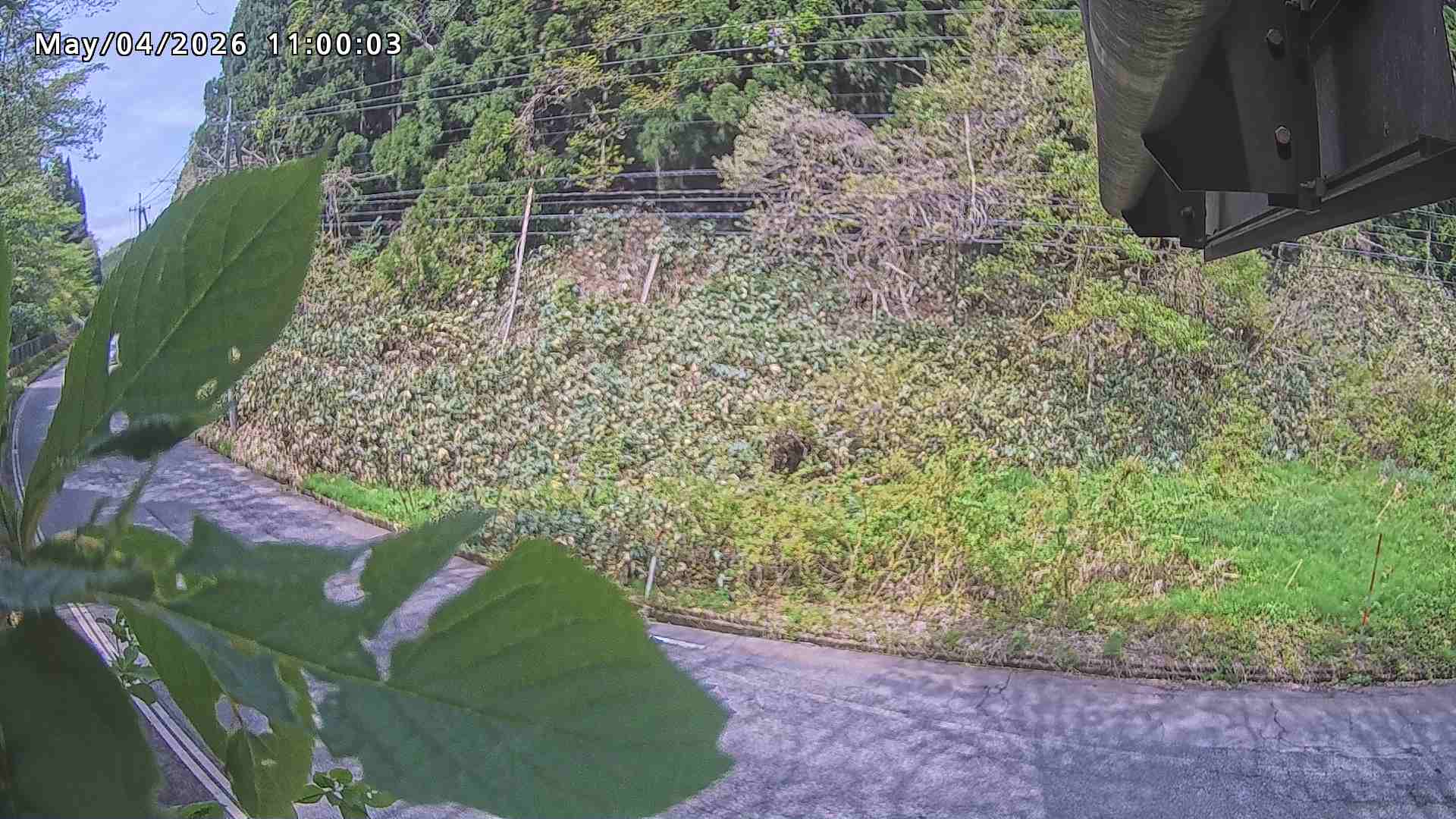 南部町大木屋