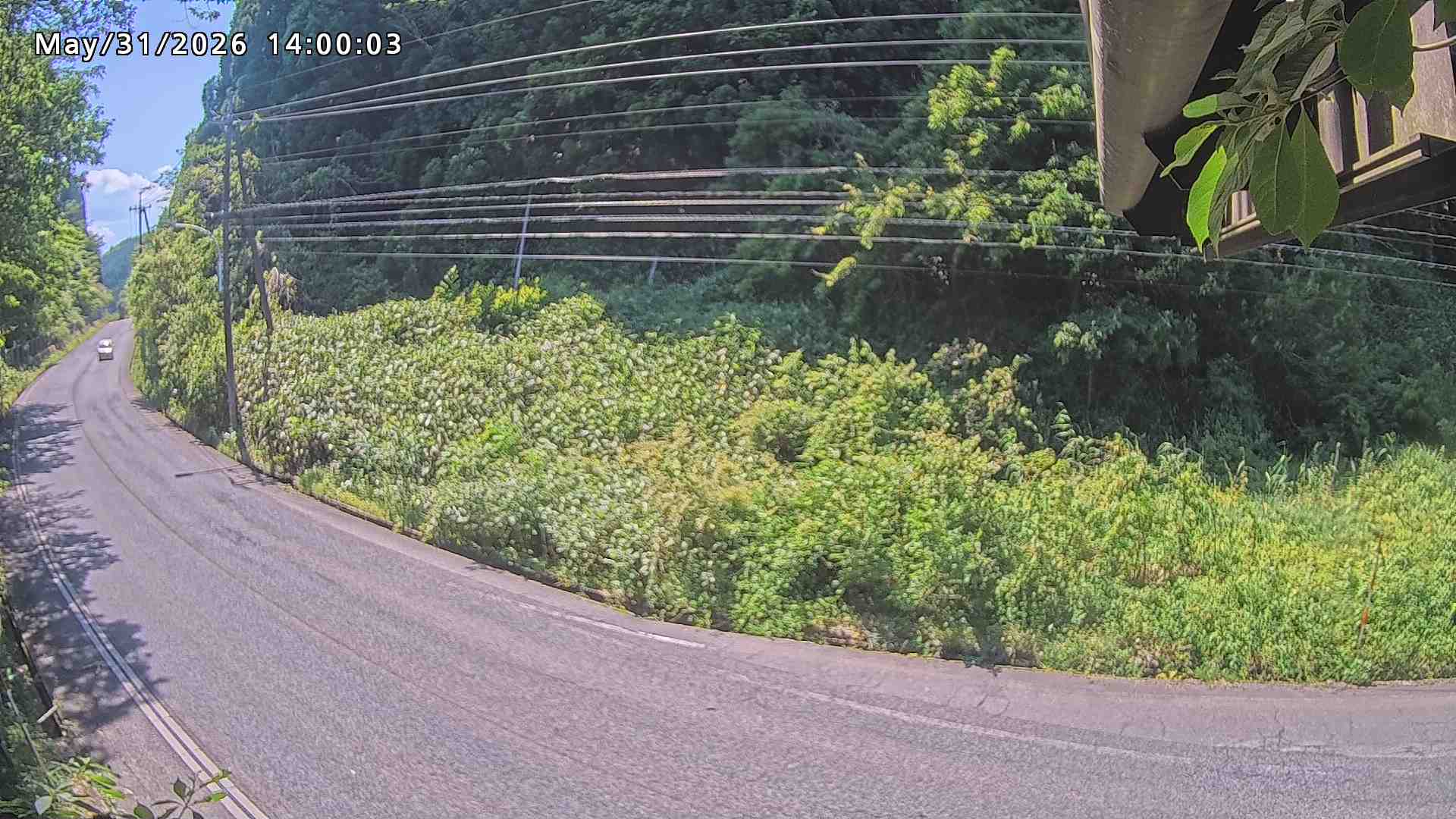 南部町大木屋