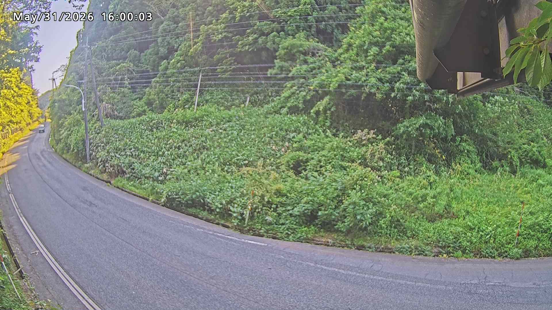 南部町大木屋