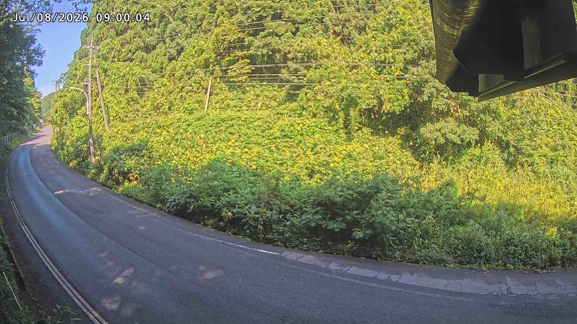 南部町大木屋